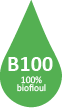 B100